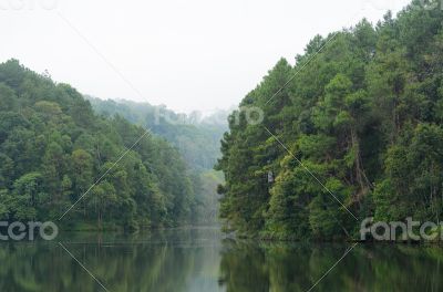 Nature landscape at morning of lakes and pine forests