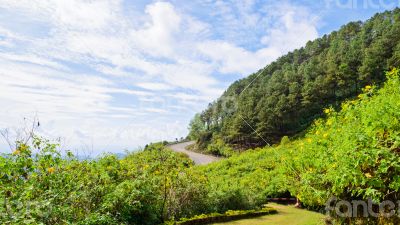 Scenic nature Doi Mae Uko mountain