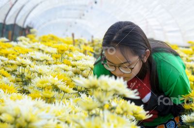 Girl in the flower garden