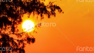 Silhouette sunset