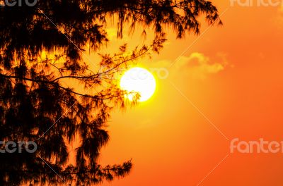 Silhouette sunset