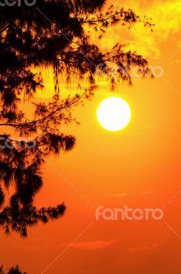 Silhouette sunset