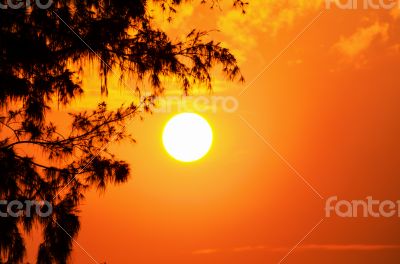 Silhouette sunset