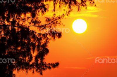 Silhouette sunset