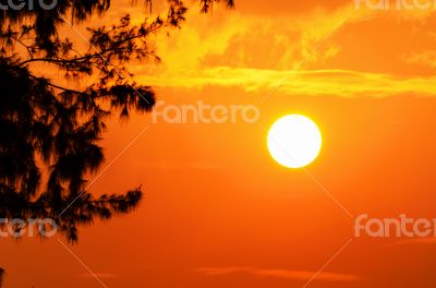 Silhouette sunset