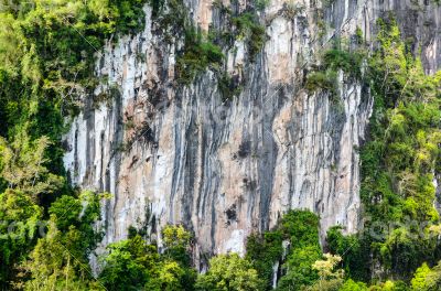 Stripes of rock cliff 
