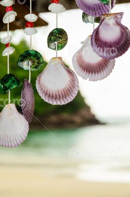 Shells hanging