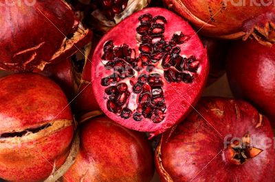 Lot Pomegranate