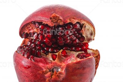 Single Pomegranate On the White Background