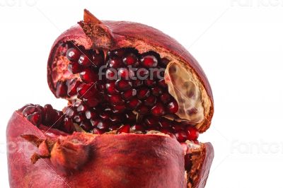 Pomegranate Macro on the White Background