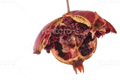 Open Pomegranate on the white background