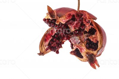 The Macro Pomegranate