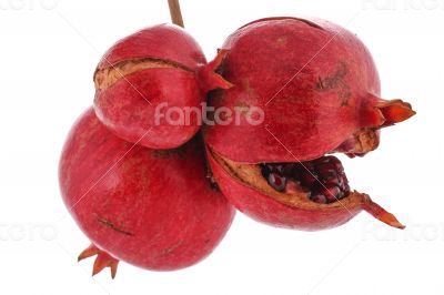 Three Pomegranate on the white background