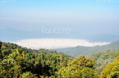 High mountain and fog in the morning