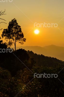 Golden light of sunset