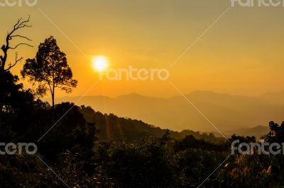 Golden light of sunset