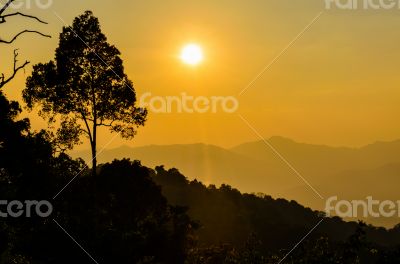 Golden light of sunset