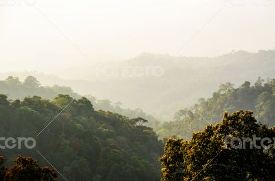 High angle view forest mountain and sky