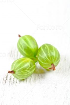gooseberries 