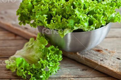 lettuce salad in metal bowl