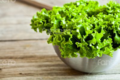 lettuce salad in metal bowl 