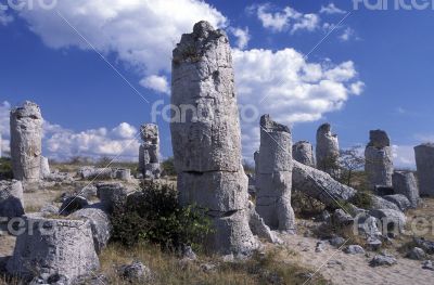 EUROPE BULGARIA VARNA