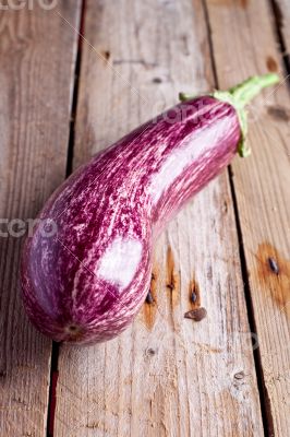 fresh eggplant 