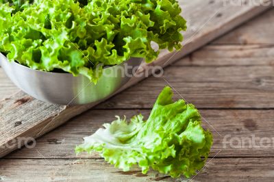lettuce salad in metal bowl
