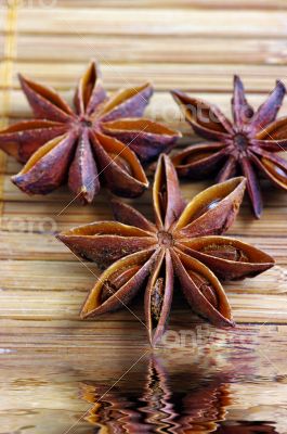 Truestar spices on the mat