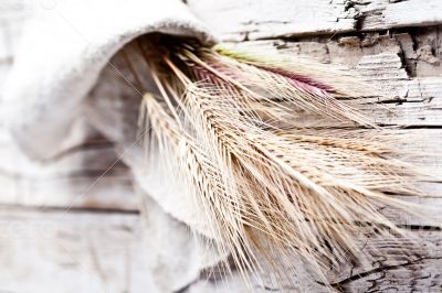 wheat ears 