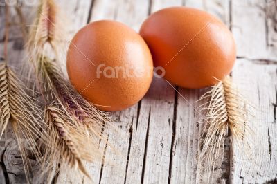 fresh eggs and wheat ears