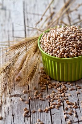 wheat grain in bowl and ears