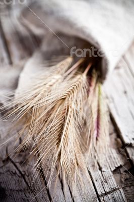 wheat ears 