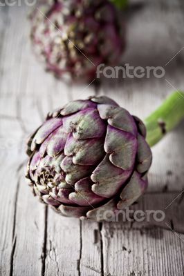 fresh artichokes