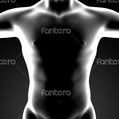 3d render human body