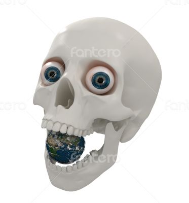 3d skull