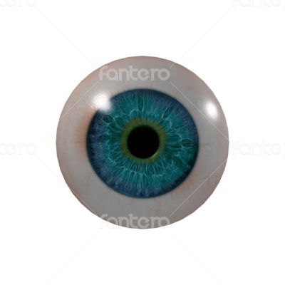 3d render Eye Ball 