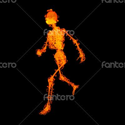 walking  skeleton by X-rays in red