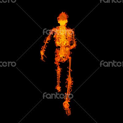 walking  skeleton by X-rays in red