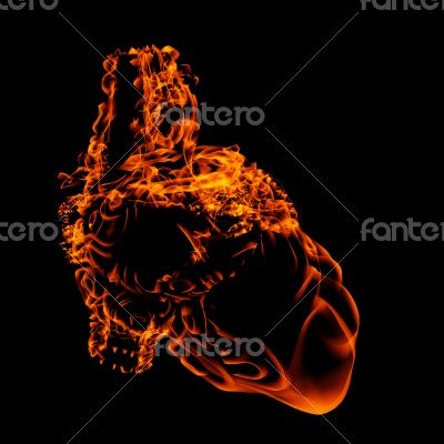 3d render illustration of the heart