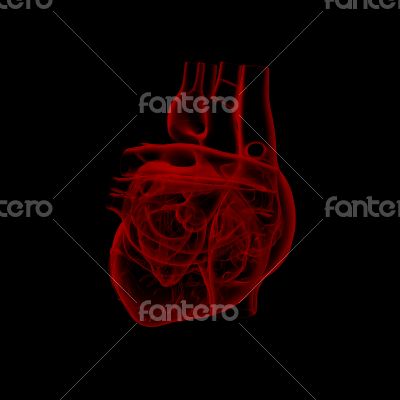 3d render medical illustration of the heart