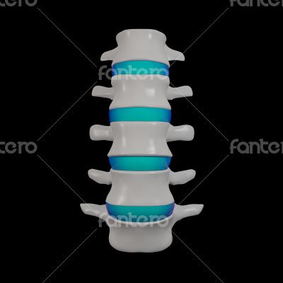spinal disc