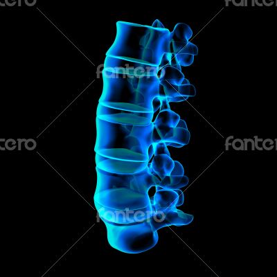 3d rendered illustration-lumbar side view