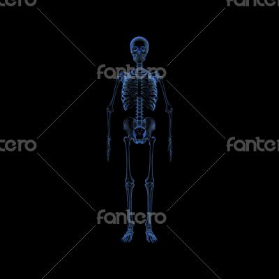 Skeleton X-rays