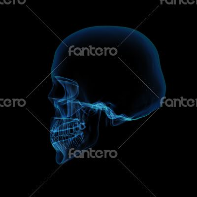 human x ray skull on black background