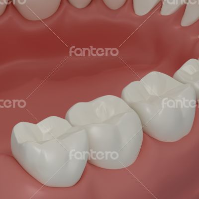 3D teeth on black background