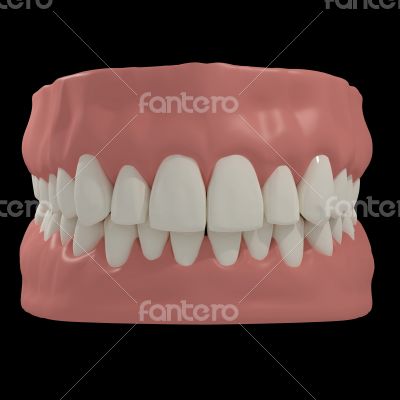 3D teeth on black background