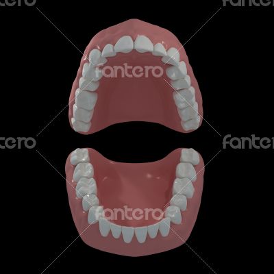 3D teeth on black background