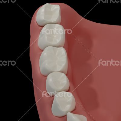 3D teeth on black background