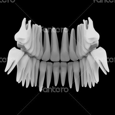 3d human red teeth